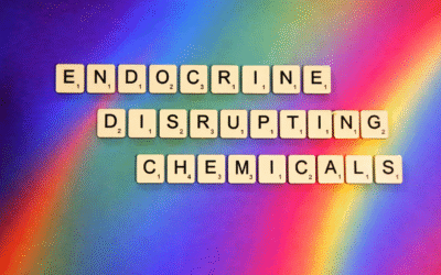 Letter to the UK Government highlights concerns about harmful chemicals in toys