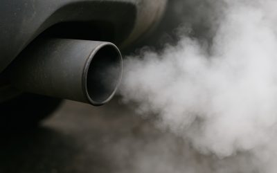 Heavy Metals and Fluoride