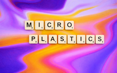 Convenience at a cost? Microplastics in ready meals